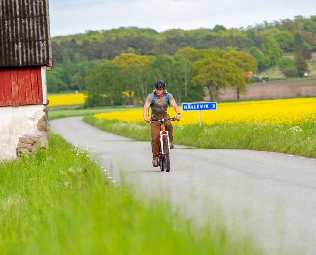 Cykling längs den vackra landsvägen från Sölvesborg till Hällevik i Blekinge