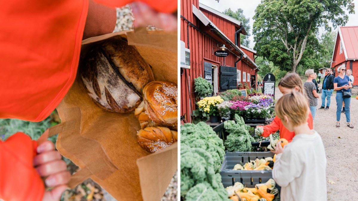 Äggaboden Gårdsbutik
