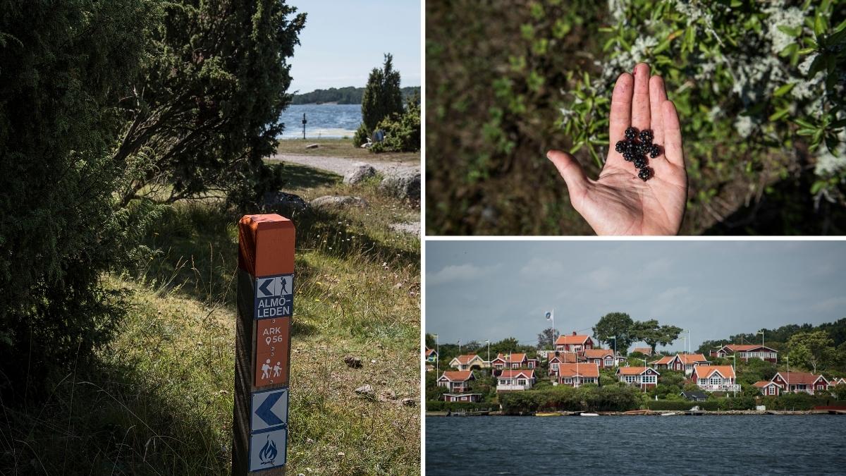 Bad från stenbrygga Stenshamn i Blekinge under höstsäsongen