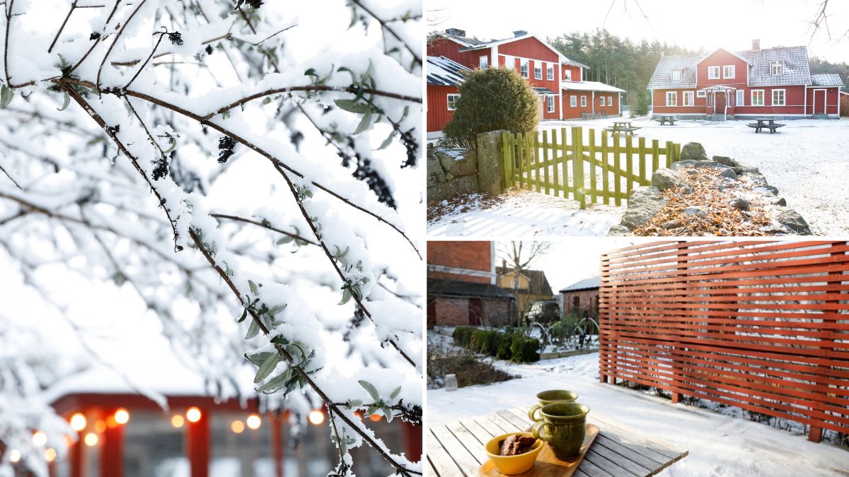 Boende i Blekinge under vintern