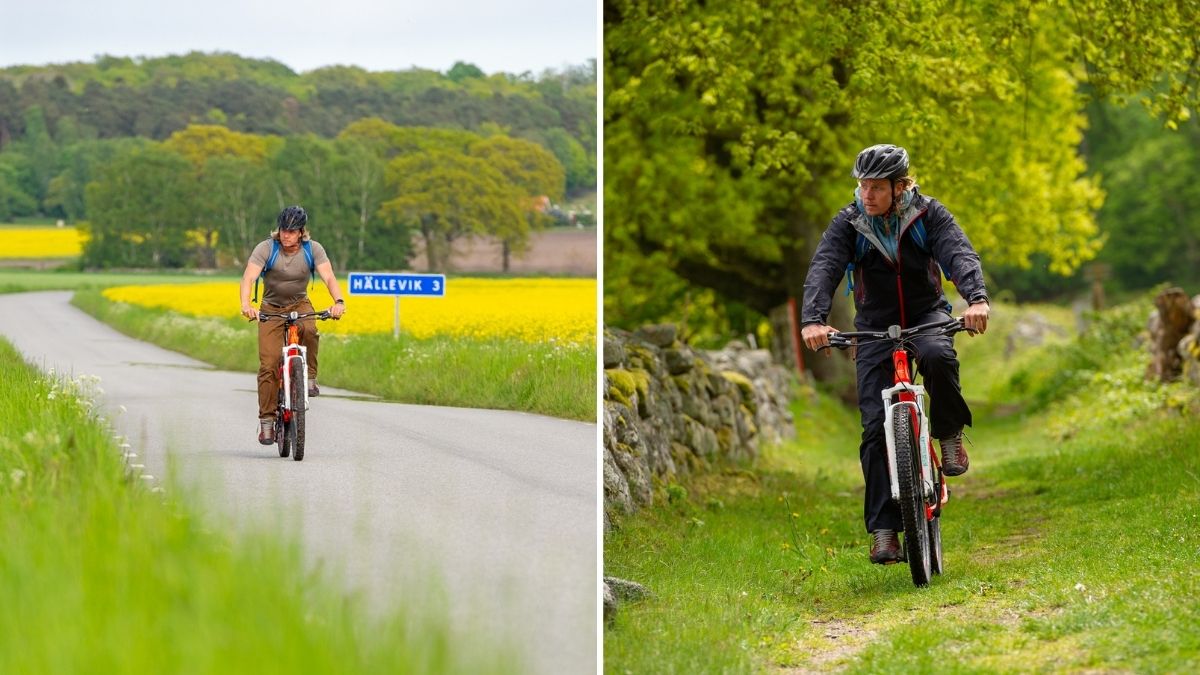 Cykla i Blekinge