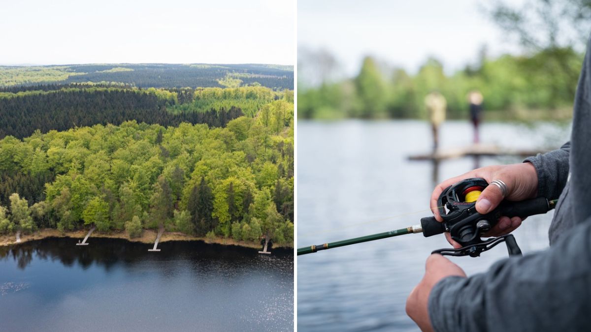 Ädelfiske i Grundsjön, Sölvesborg