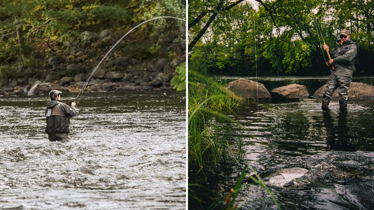 Lax och havsöring - Fiske i Mörrumsån