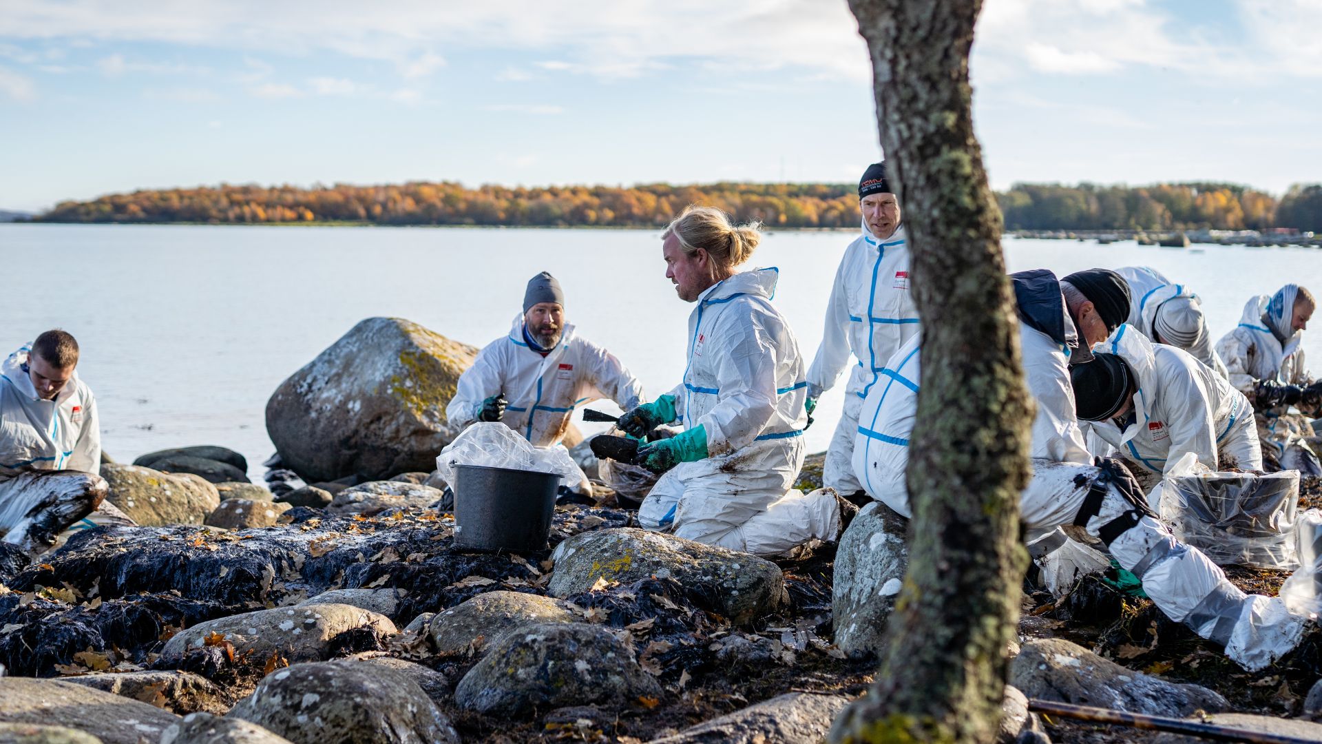 Ideella krafter oljesanerar längs Blekinges kust. Foto: Sölvesborgs kommun