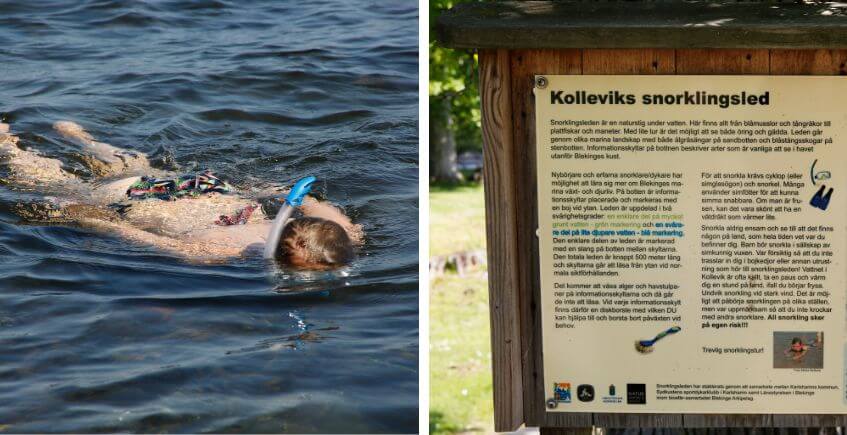 Prova snorklingslederna i Blekinge, Kollevik och Dragsö Camping