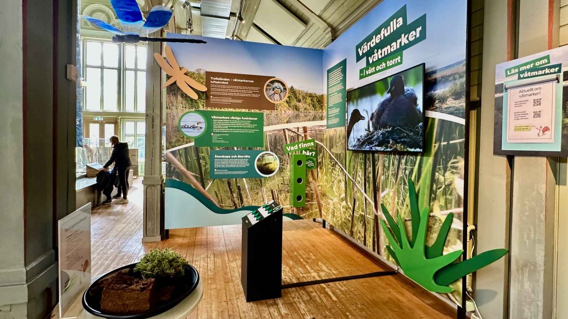 Naturums inställningar inhomhus, entré mitt i Ronneby Brunnspark