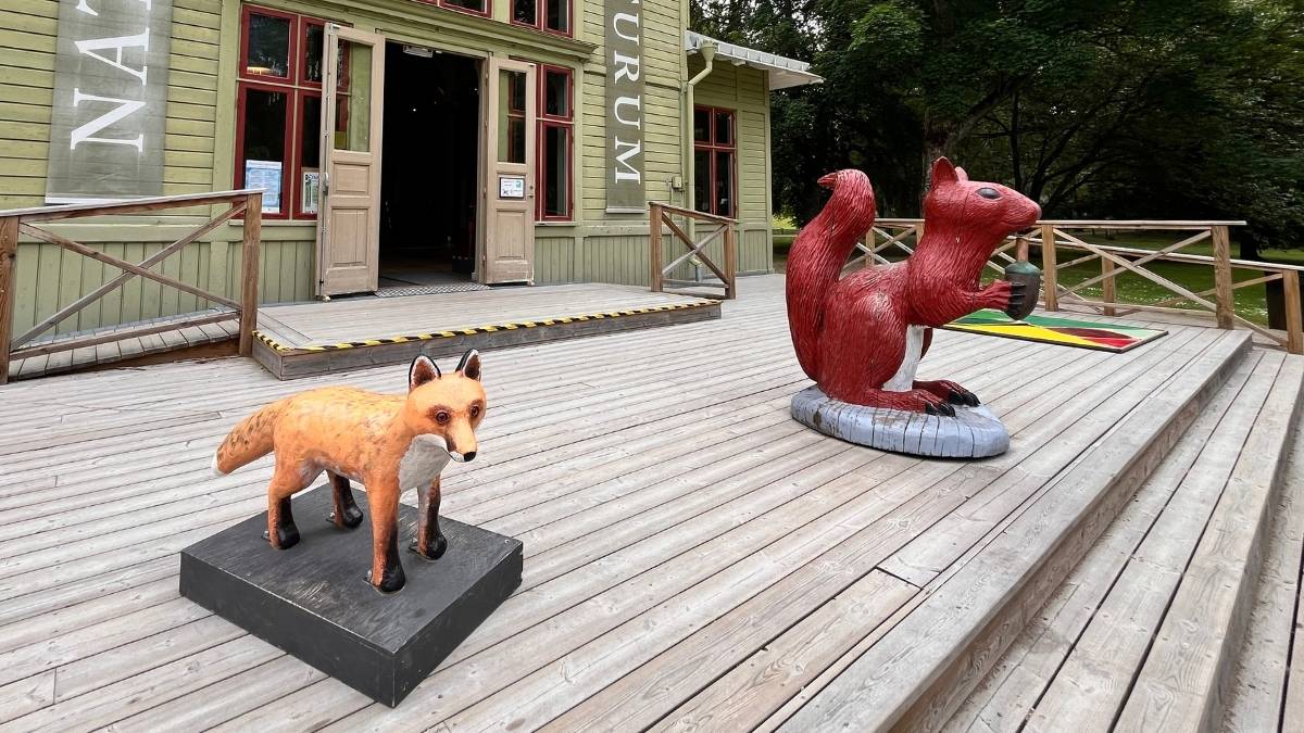 Räv- och ekorreskulpturer som välkomnar besökare vid Naturum Blekinges entré