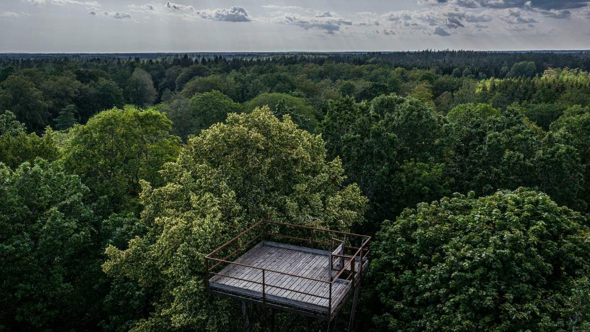 Olofström - Sveriges sydligaste vildmark