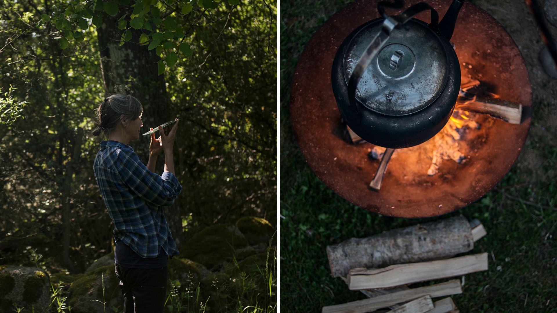 Ronneby i hjärtat av Sveriges trädgård – skärgård, bokskogar och parker där naturen alltid är nära.