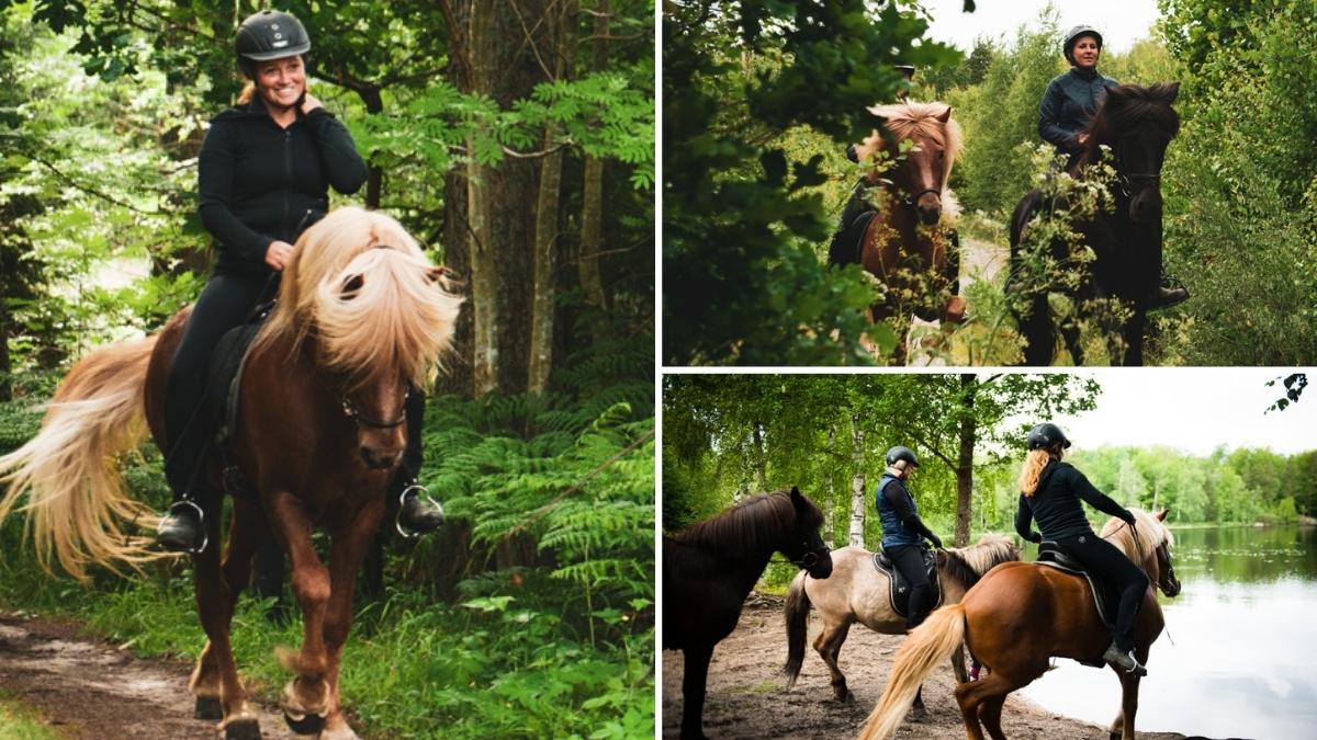 Ridleder i Olofström