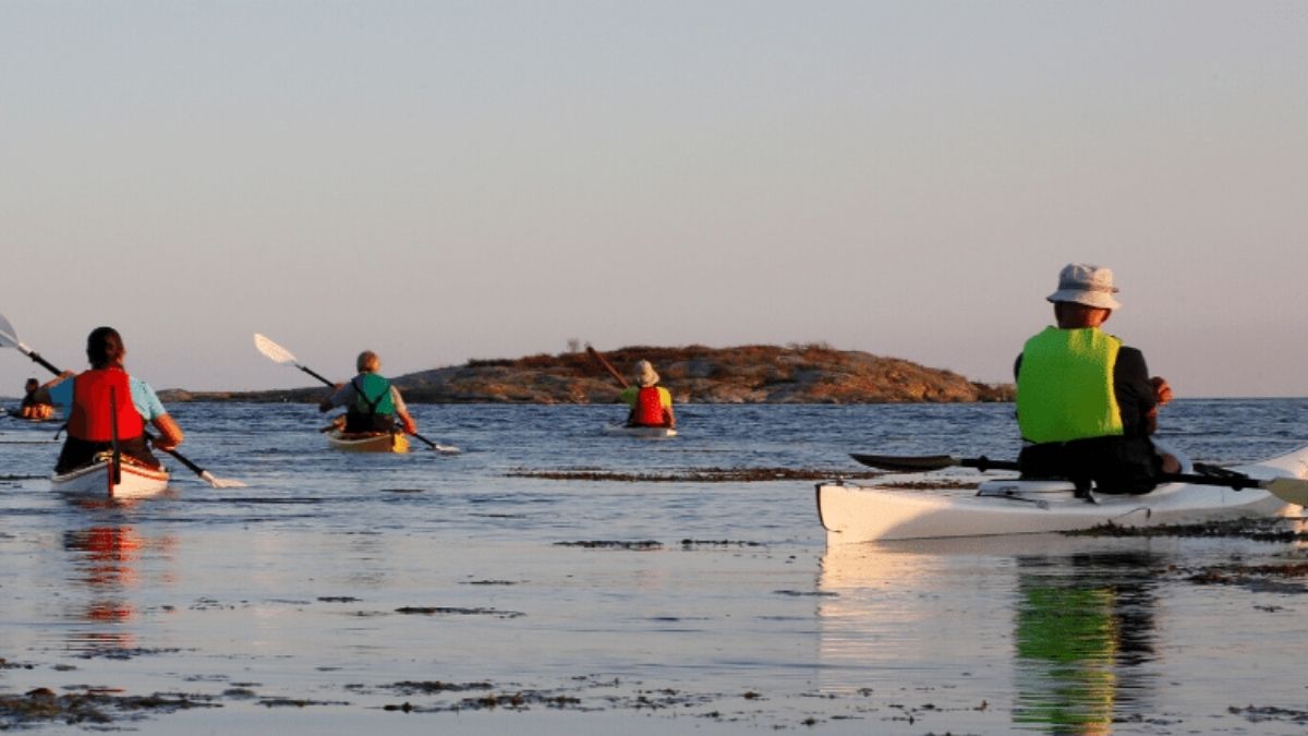 Sälsafari med Saltstänk i Karlsrkona.