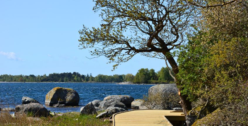 Saxemara naturpark i Ronneby