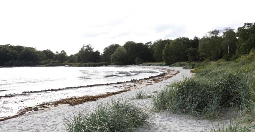 Sillnäs strand i Sölvesborg, Blekinge