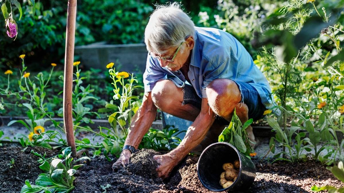 Svenmanska Trädgårdsparken, Bräkne Hoby