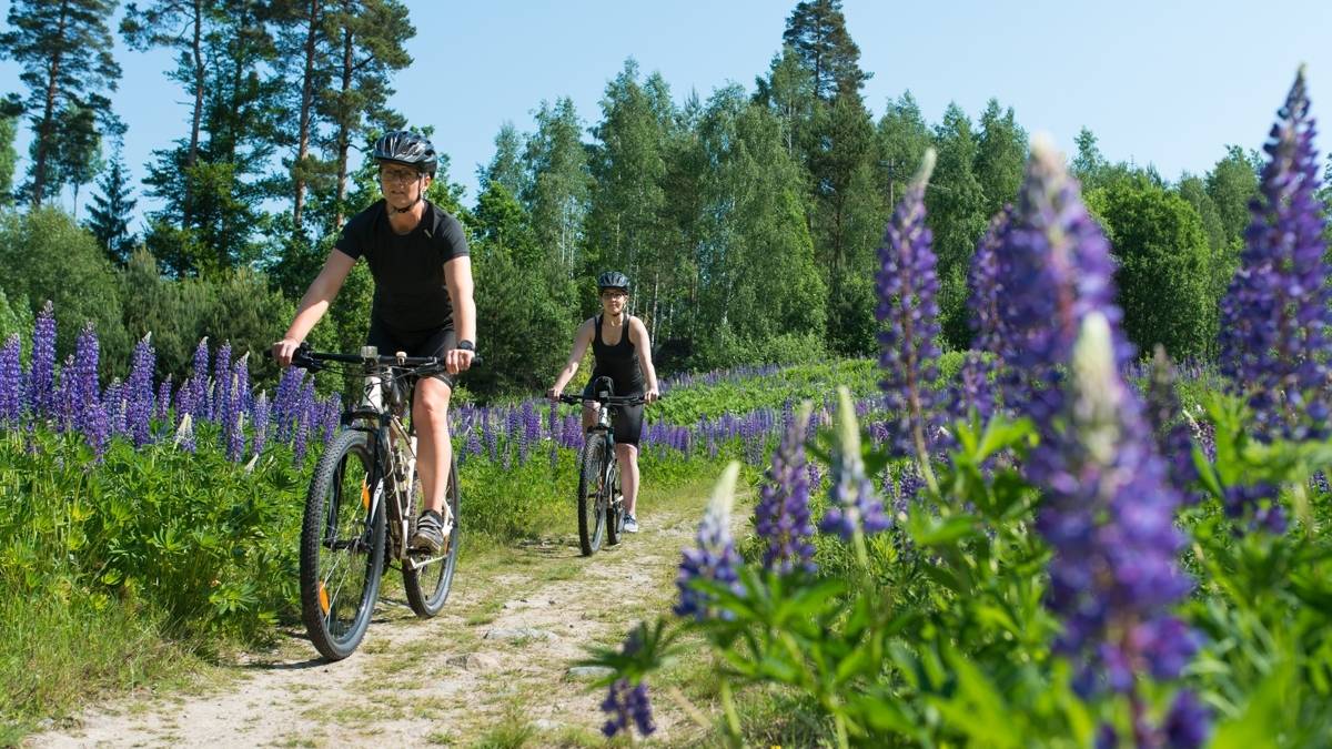 Cykelled i Blekinge