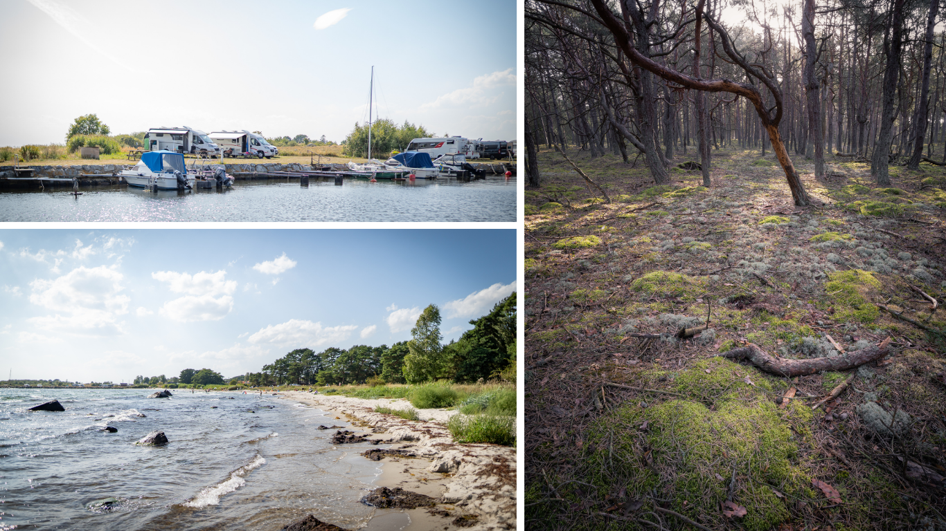 Torsö fiskeläge i Sölvesborg