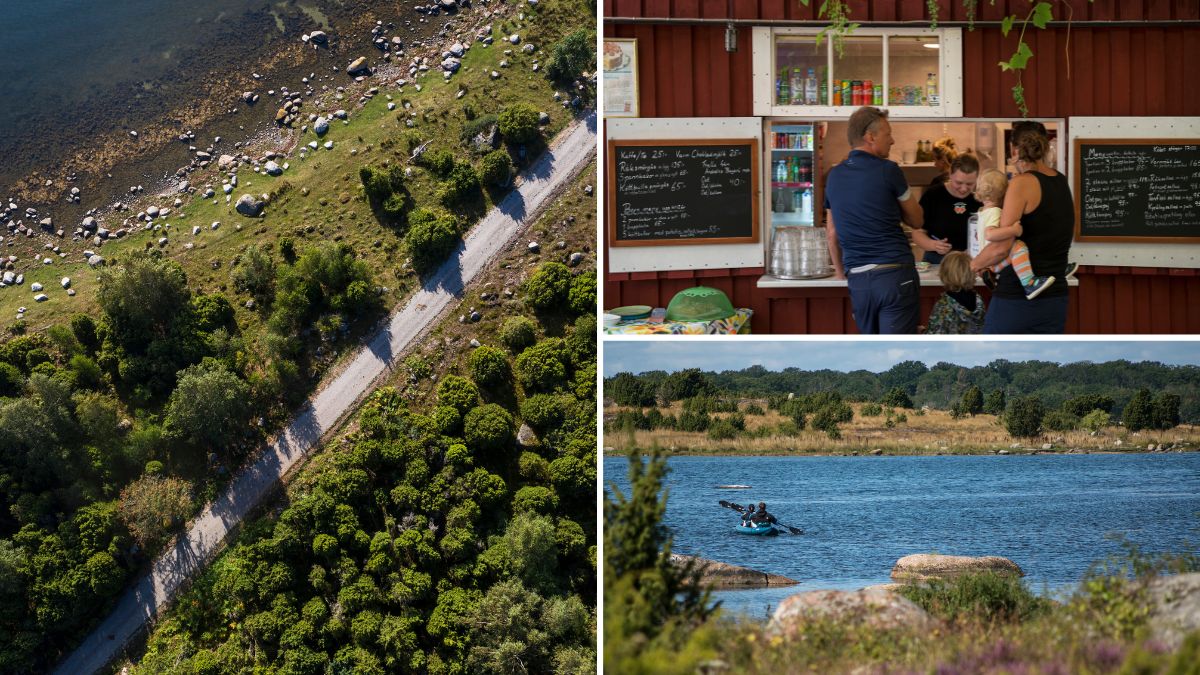 ARK56 biosfärområde med gpx-stöd