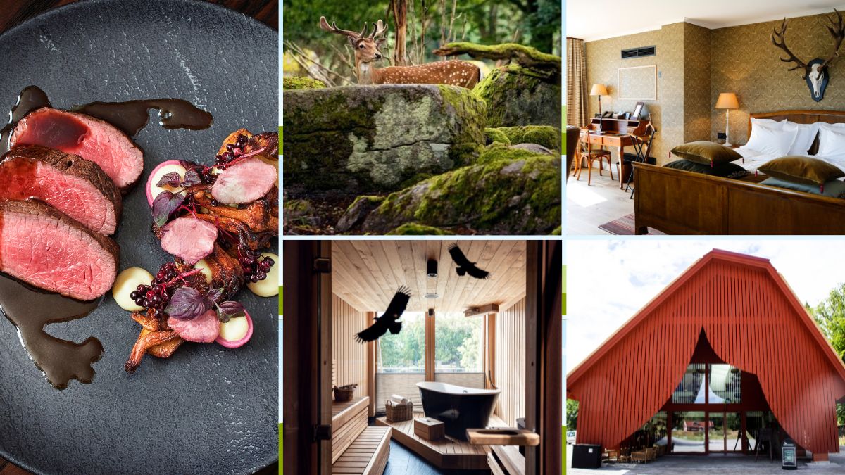 Höstupplevelser i Blekinge med viltmiddag, skogslandskap, exklusivt hotellrum, bastu med utsikt och modern arkitektur.