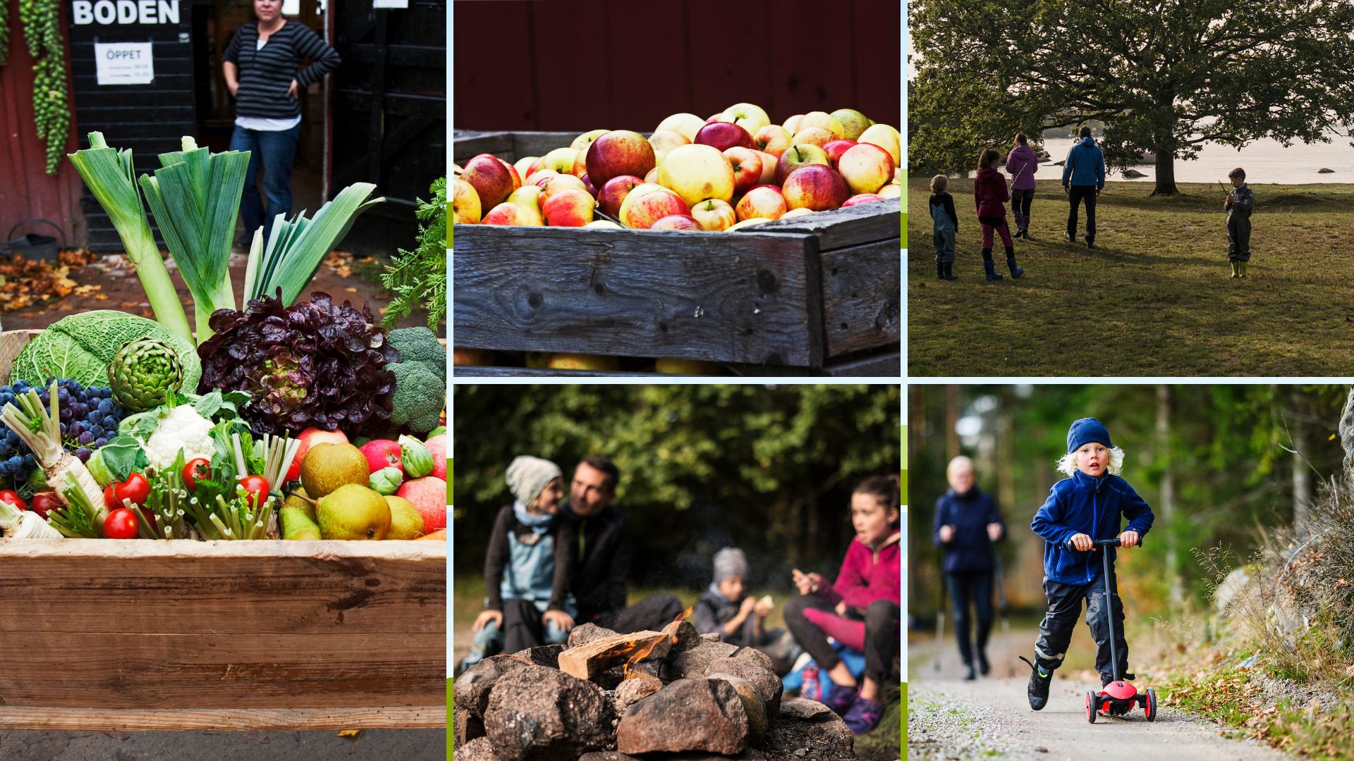 Höst i Blekinge med lokala råvaror, familjer som vandrar, barn som leker och människor som samlas kring en lägereld.