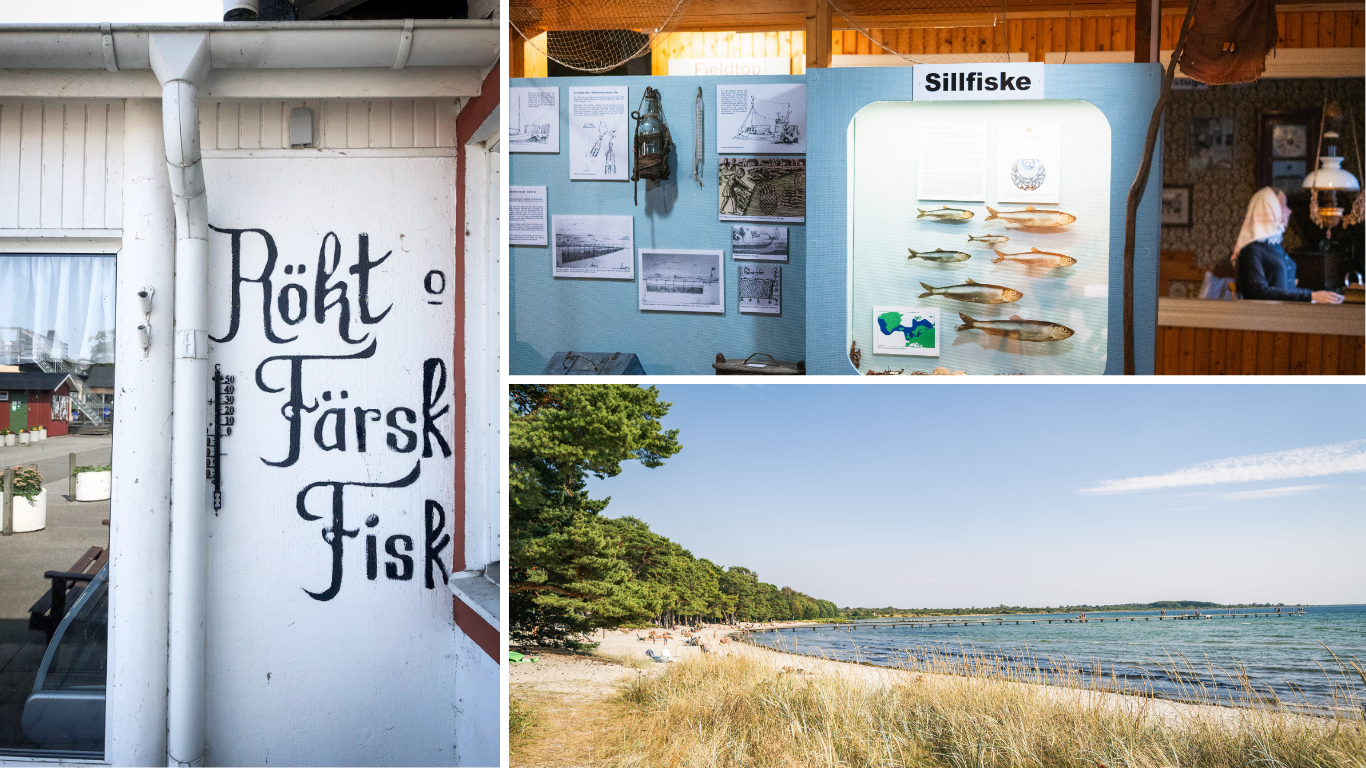 Hälleviks fiskemusem, dagmars och Hälleviks strand