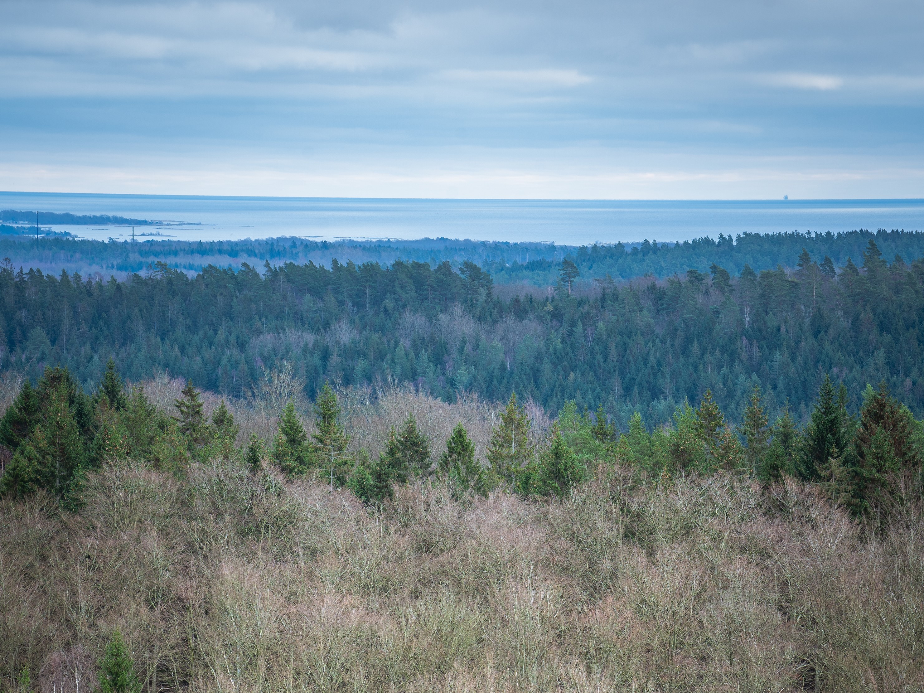 Naturreservat Skinsagylet