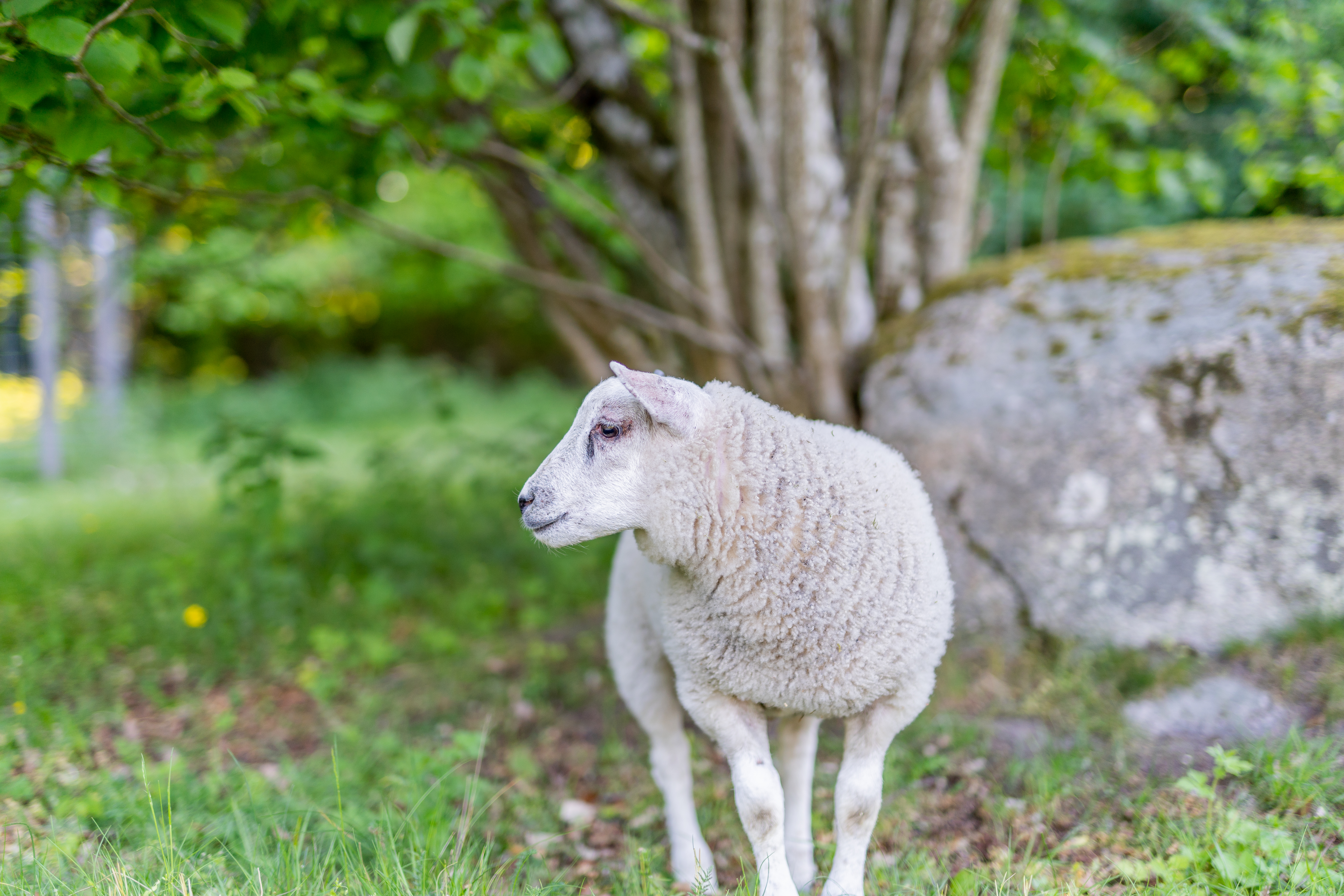 Naturreservat Valje halvö