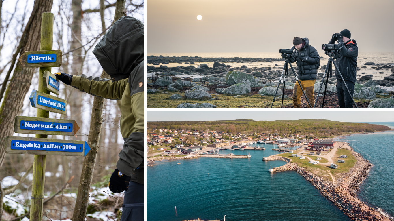 Nogersunds hamn, fågelskådning på Kråkenabben