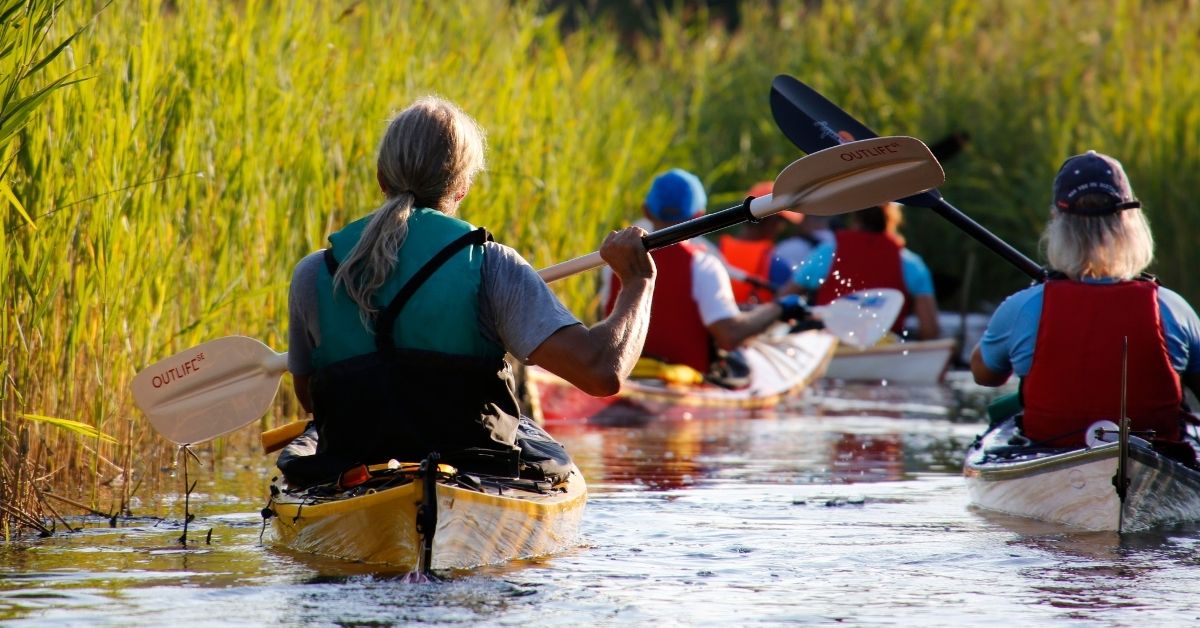 Kajaksejlads i Blekinges skærgård – gruppe padler gennem smalle kanaler omgivet af siv