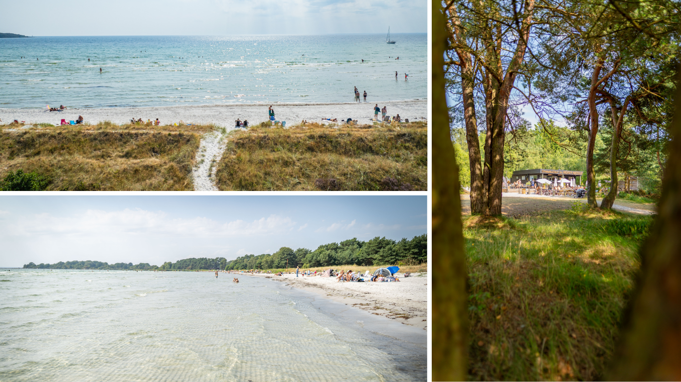 Sandviken, en kritvit och lång sandstrand i Sölvesborg