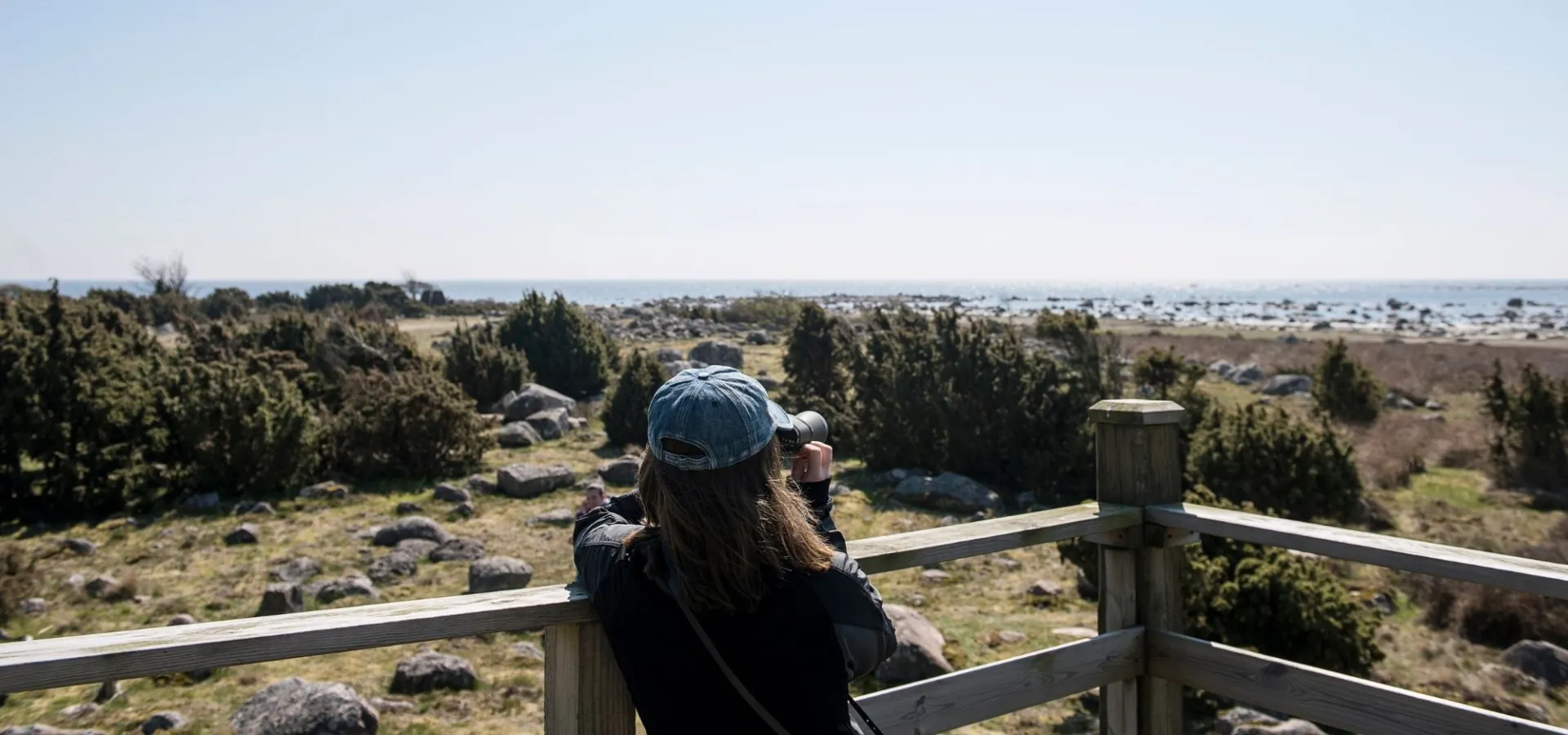 Vy ut mot havet i Blekinge som symboliserar kraft, tydlighet och digital framdrift.