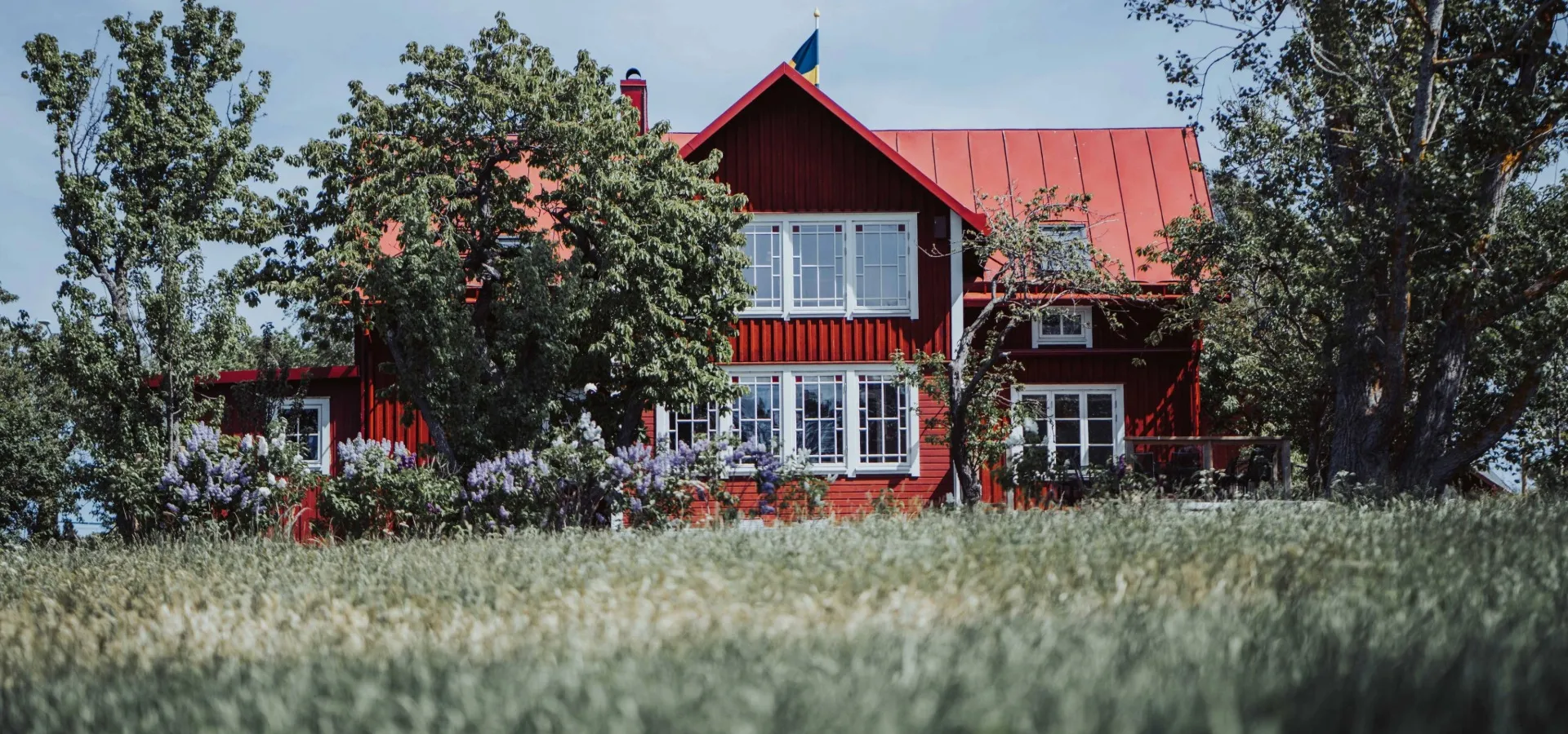 Idyllisk orörd natur utanför boendet på Ytterön i Blekinge