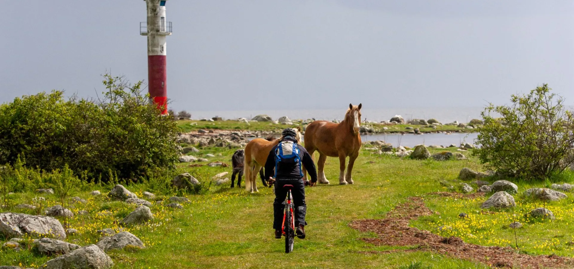 Cyklist längs kusten på Listerlandet, Blekinge