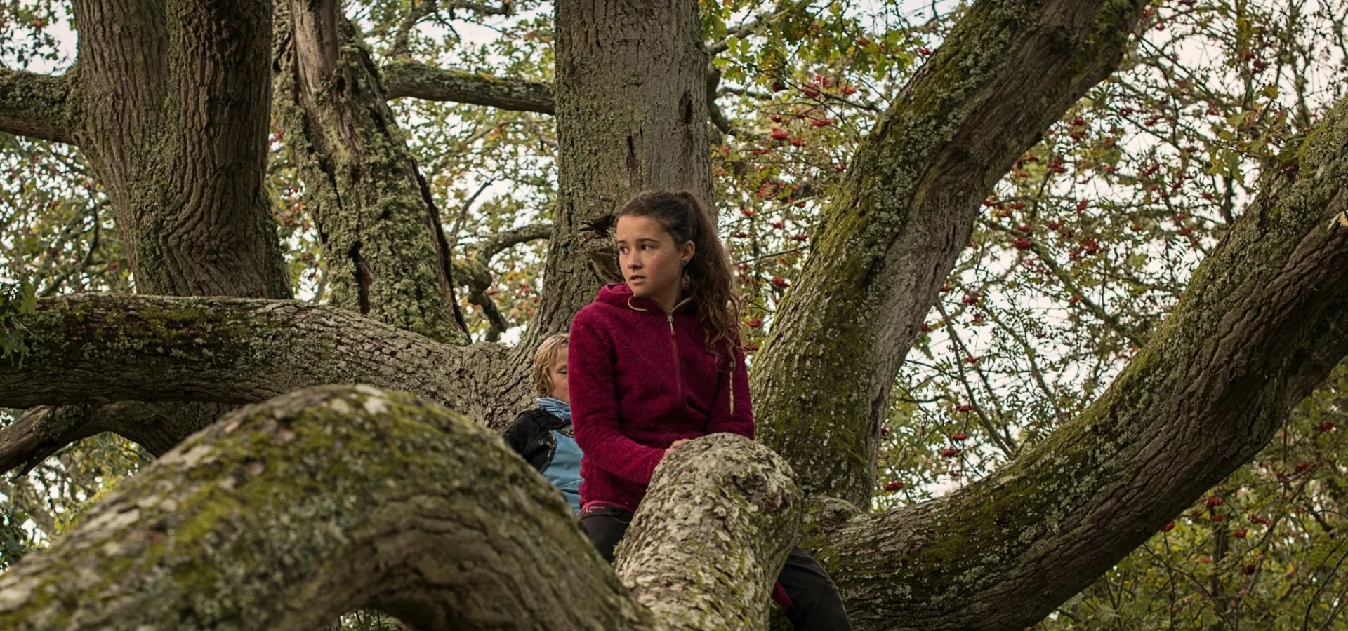 Äventyr bland grenarna – i Olofström kan barnen upptäcka naturen på riktigt, mitt i Sveriges sydligaste vildmark.
