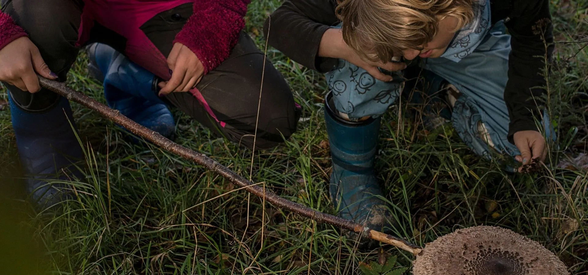 Upptäck naturen tillsammans med barnen i Olofström