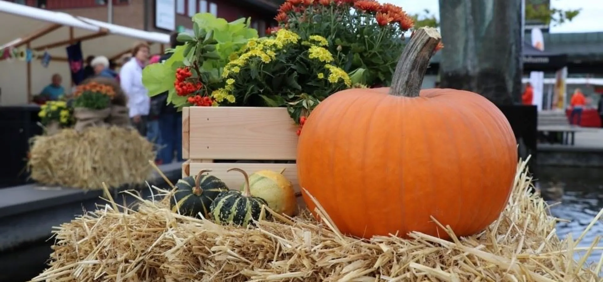 Höstlov i Olofström