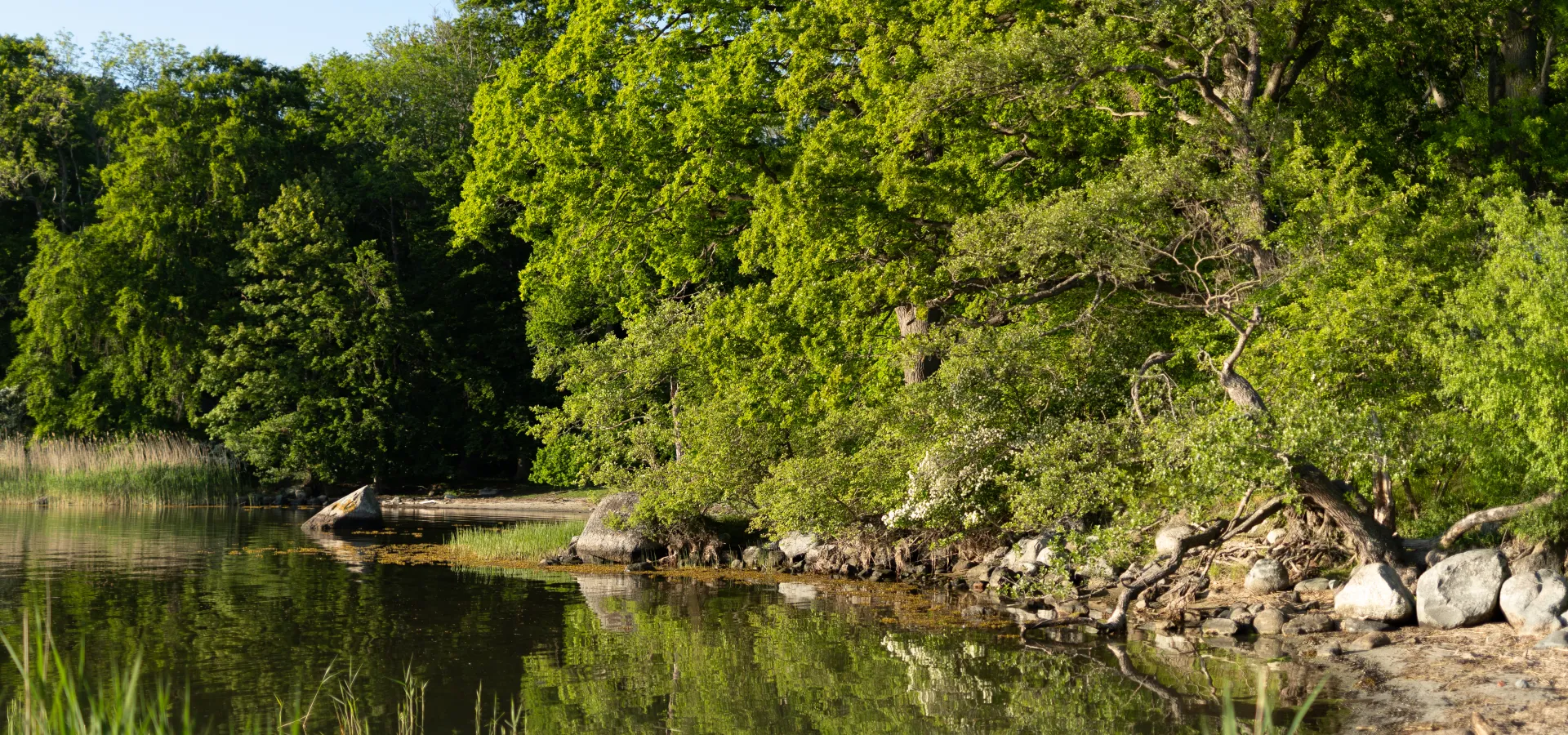 Naturreservat Valje halvö 