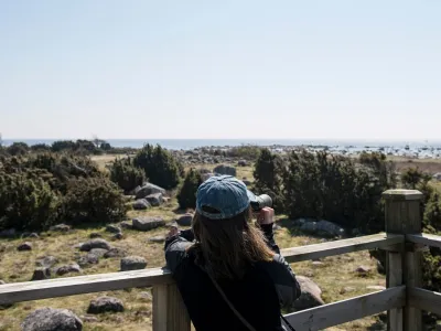 Vy ut mot havet i Blekinge som symboliserar kraft, tydlighet och digital framdrift.
