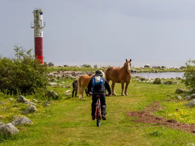 Cyklist längs kusten på Listerlandet, Blekinge