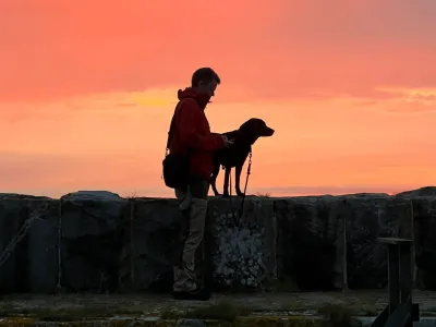 Semester med hund i Blekinge