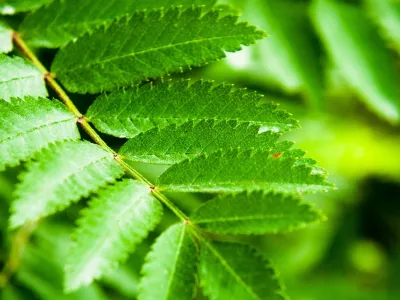 Sjöar och vildmark i Olofström