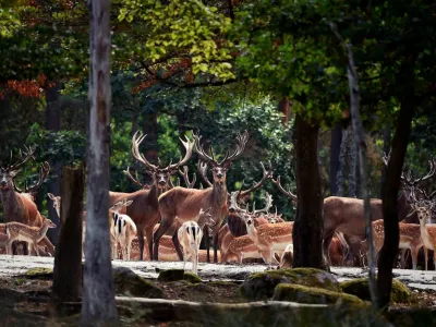 Eriksberg Hotel & Nature Reserve