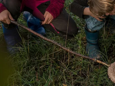 Upptäck naturen tillsammans med barnen i Olofström