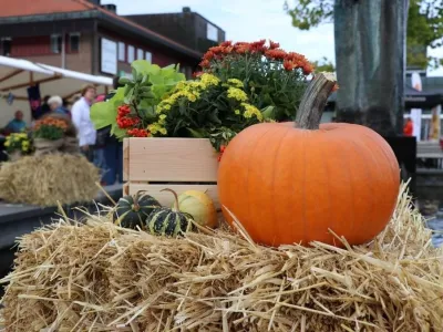 Höstlov i Olofström