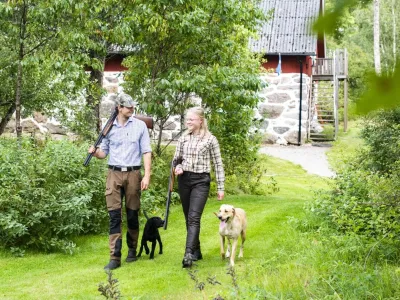 Två jägare med gevär och hundar promenerar genom grönskande natur vid en röd jaktstuga i Olofström, Blekinge.