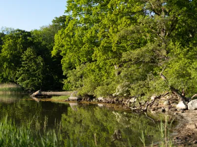 Naturreservat Valje halvö 