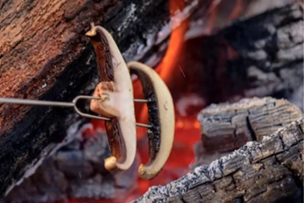 Klassresa-lägerskola 