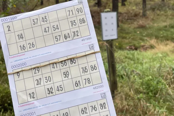 Motionsbingo Ryssberget