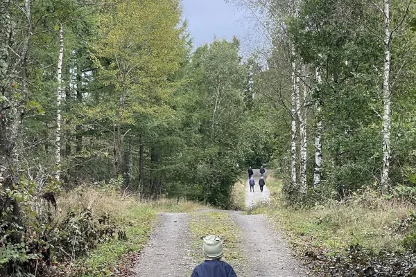 Motionsbingo Ryssberget