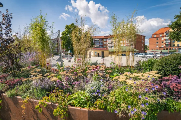 Skejtan - skateboardbana