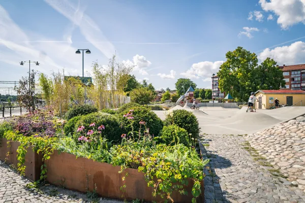 Skejtan - skateboardbana